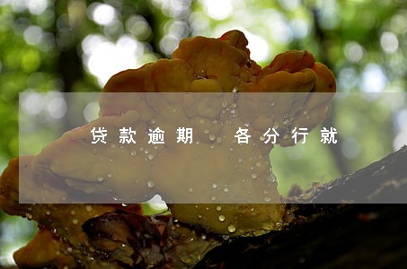贷款逾期 各分行就 贷款逾期 各分行就